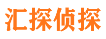 绿园市调查公司